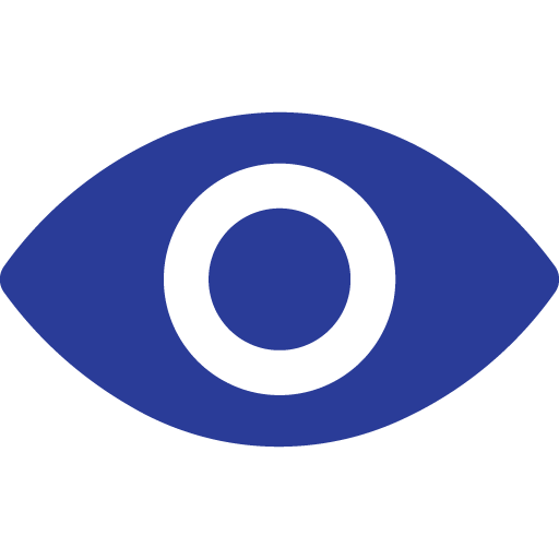 vision blue icon